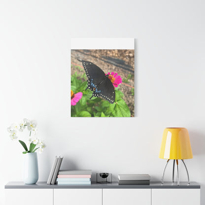 Black Butterfly Canvas Wall Art, Nature Decor, Botanical Print, Home Decor, Gift for Nature Lovers, Insect Photography