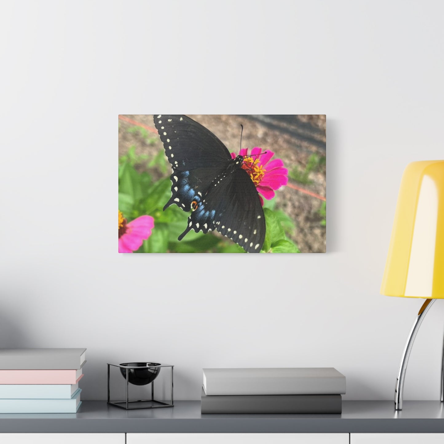 Black Butterfly Canvas Wall Art, Nature Decor, Botanical Print, Home Decor, Gift for Nature Lovers, Insect Photography