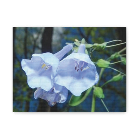 Floral Canvas Wall Art Print, Nature Decor, Gift for Flower Lovers, Home Decoration, Botanical Artwork