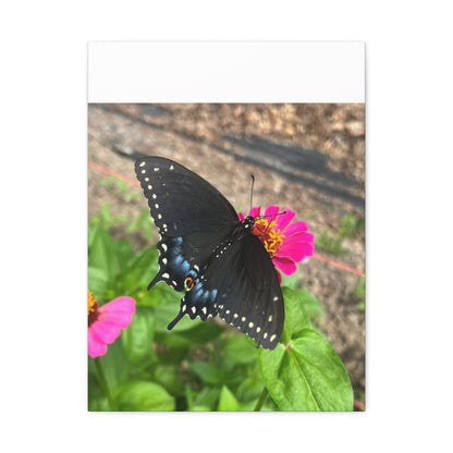 Black Butterfly Canvas Wall Art, Nature Decor, Botanical Print, Home Decor, Gift for Nature Lovers, Insect Photography