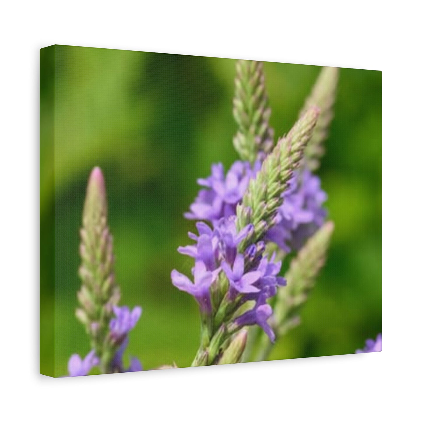 Floral Canvas Wall Art, Stretched Matte Canvas Print, Home Decor, Purple Flower Artwork, Nature-Inspired Decoration