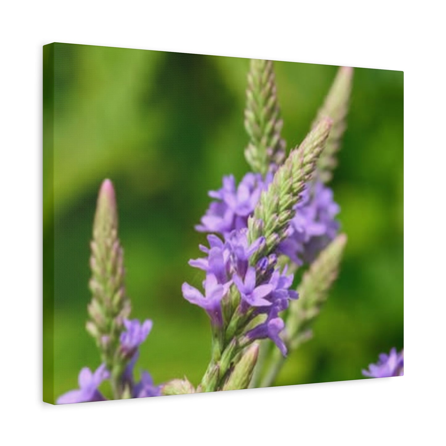 Floral Canvas Wall Art, Stretched Matte Canvas Print, Home Decor, Purple Flower Artwork, Nature-Inspired Decoration