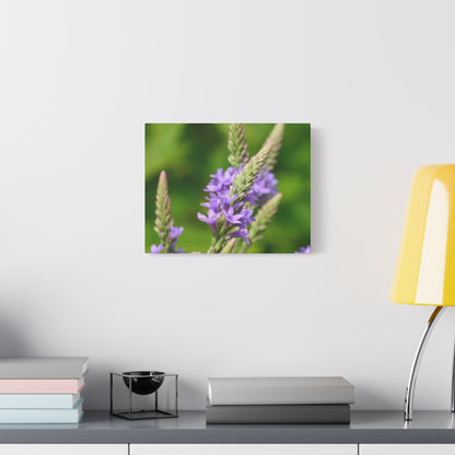 Floral Canvas Wall Art, Stretched Matte Canvas Print, Home Decor, Purple Flower Artwork, Nature-Inspired Decoration