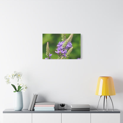 Floral Canvas Wall Art, Stretched Matte Canvas Print, Home Decor, Purple Flower Artwork, Nature-Inspired Decoration