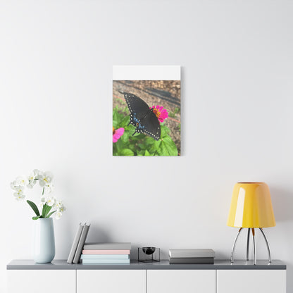 Black Butterfly Canvas Wall Art, Nature Decor, Botanical Print, Home Decor, Gift for Nature Lovers, Insect Photography